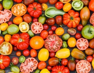 Le 5 varietà di pomodori più note