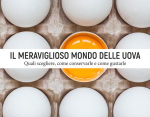 Mini-guida: il meraviglioso mondo delle uova